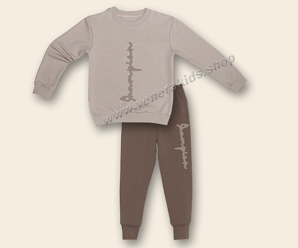 К-кт дълъг ръкав Шампион сив. Серия 3бр